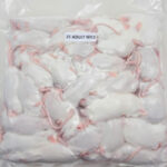 Frozen Adult Mice