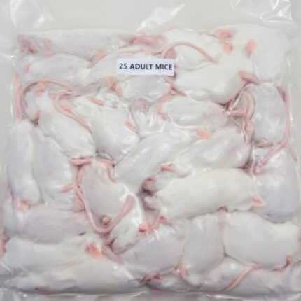 Frozen Adult Mice