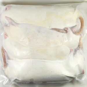 Frozen Colossal Rats