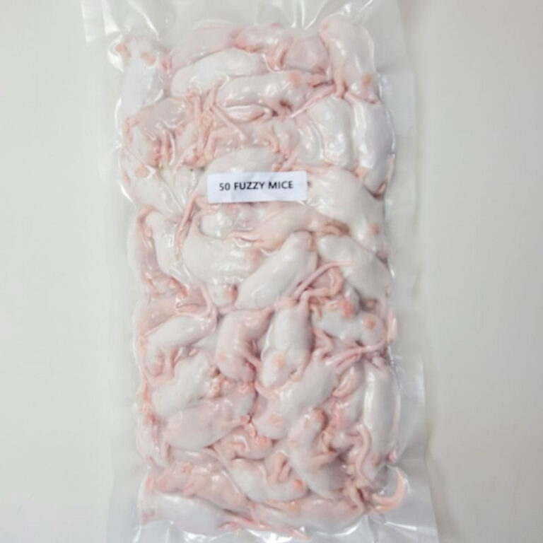 FROZEN MICE Rodent King Canada