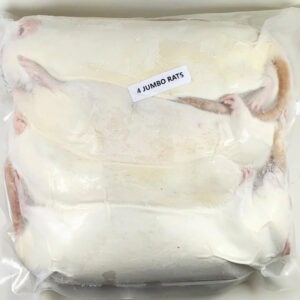 Frozen Jumbo Rats