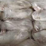 Frozen Large Rabbits