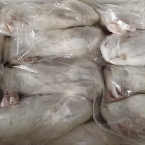 Frozen Medium Rabbit