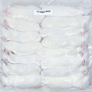 Frozen Small Rats