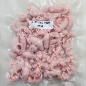 Curated visual reference: Gallery Detail: Rodent King Canada Premium Frozen Feeder Mice And Rats
