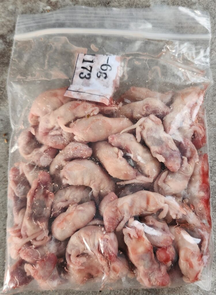 Image #1 from Katrina